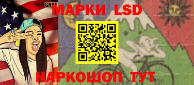 2c-b Кингисепп