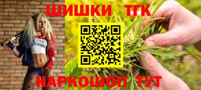 2c-b Кингисепп