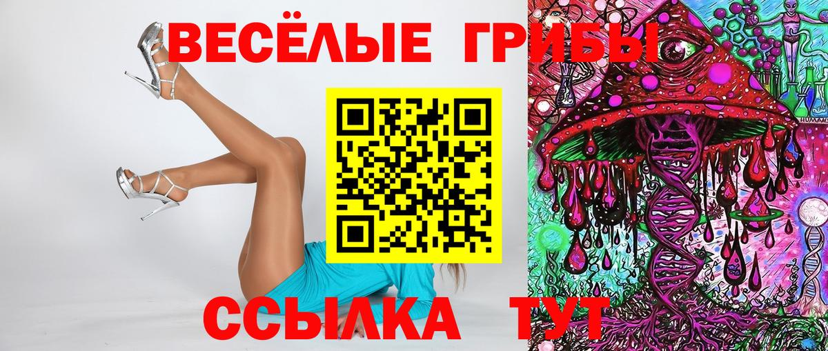 NBOMe  Кисловодск  МДМА  Конопля  ГАШИШ  Мефедрон   Вход с VPN  Бошки Шишки  ЭКСТАЗИ 